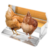 Factory Hot Selling Cheap Chicken Feeder