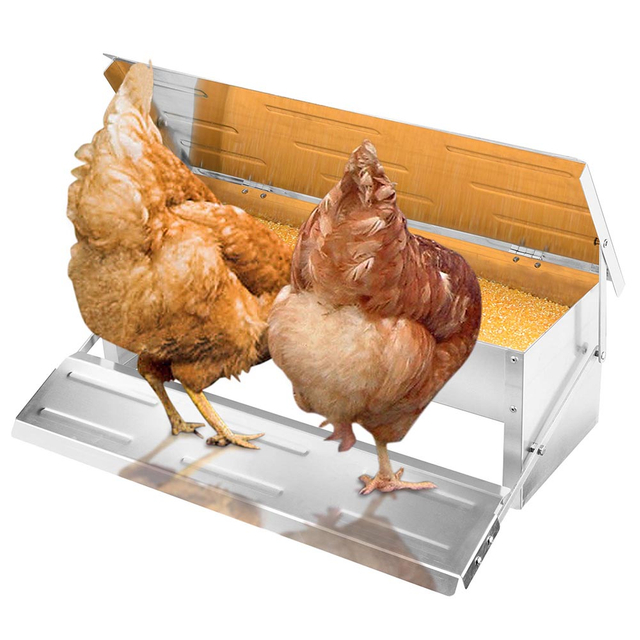 Factory Hot Selling Cheap Chicken Feeder