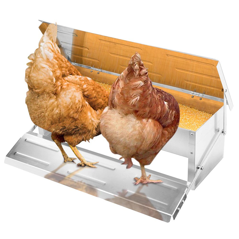 Factory Hot Selling Cheap Chicken Feeder