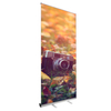 Best Price Advertising Banners Roll Up Banner Stand