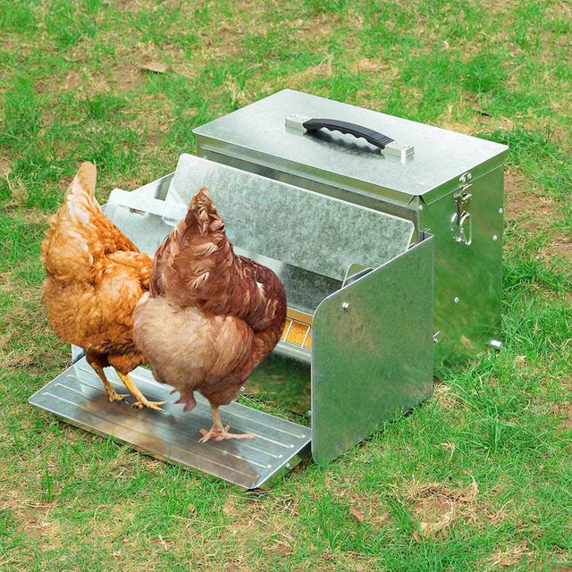 Factory Hot Selling Chicken Feeder